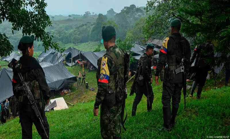 Colombia: matan al jefe disidente de las Fuerzas Armadas Revolucionarias