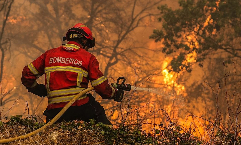 Más de 260 muertos en la última semana en Portugal por la fuerte ola de calor
