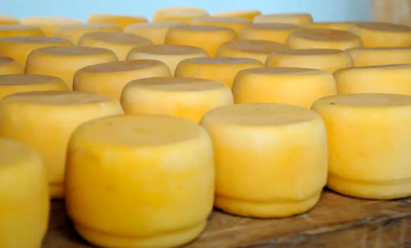 Infección alimentaria: se detectó un brote de listeriosis por el consumo de un queso contaminado