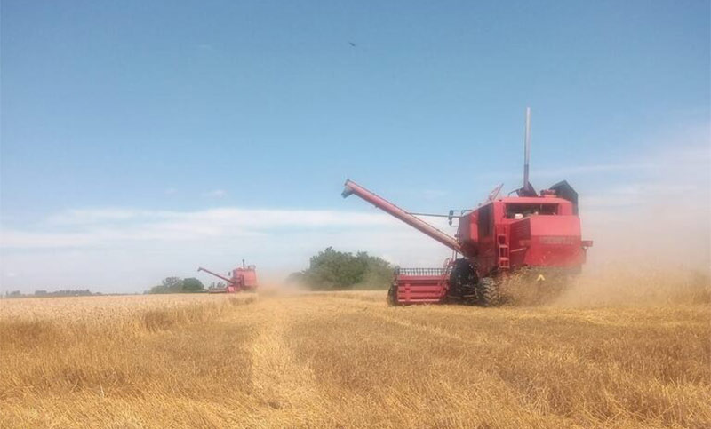 El campo y las retenciones cero: Confederaciones Rurales Argentinas calificó la medida como una maniobra financiera