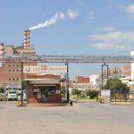 Celulosa, en crisis terminal: la empresa se presentó en concurso de acreedores