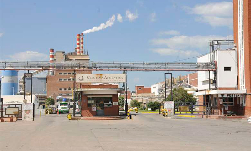Celulosa, en crisis terminal: la empresa se presentó en concurso de acreedores