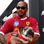 Dolor en la Fórmula 1 por el fallecimiento de Roscoe, el perro que acompañó a Lewis Hamilton durante toda su carrera