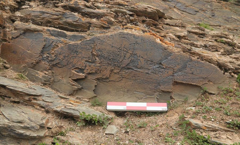 China: descubrieron una piedra grabada de 2200 años de antiguedad en el «techo del mundo»