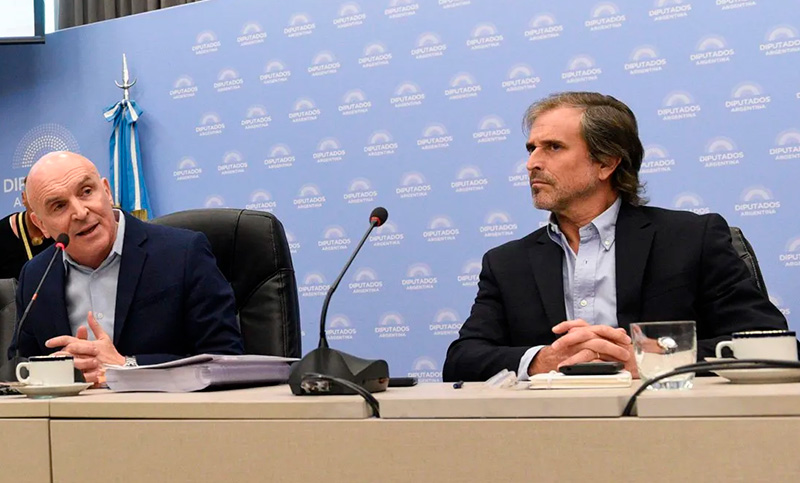 Benegas Lynch es el nuevo alfil del Gobierno en la difícil comisión de Presupuesto en Diputados