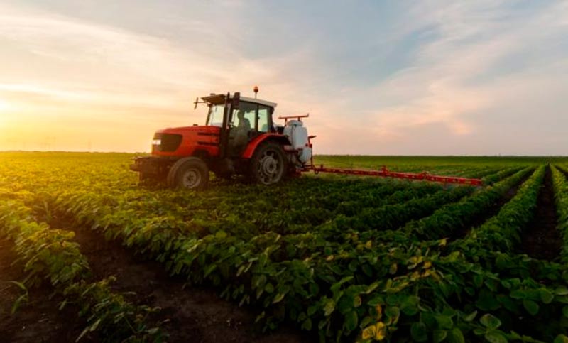 Advierten que el ingreso de dólares del agro podría desplomarse hasta un 80% el último bimestre