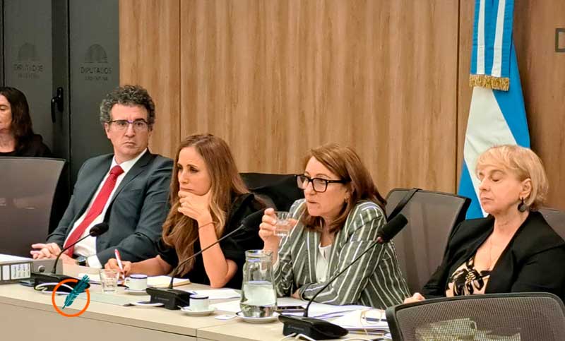 Diputados: profesionales del Hospital Italiano contaron cómo descubrieron el fentanilo contaminado