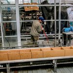 Tras tres meses consecutivos de caída y el piso de 2024, la actividad económica tuvo una leve recuperación en agosto