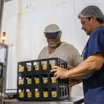 Un modelo destructor de empleo: más de 18.000 empresas cerraron desde el comienzo de la gestión Milei