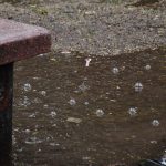 Rosario sigue bajo alertas por tormentas: se esperan lluvias hasta el sábado a la mañana