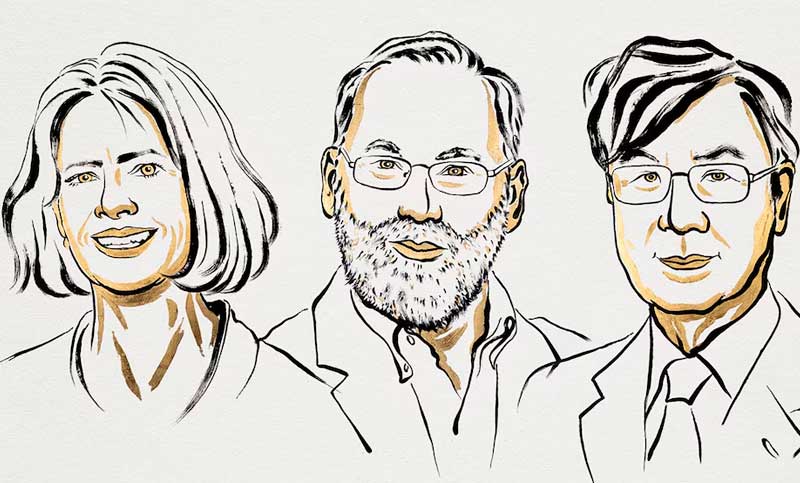 Nobel de Medicina 2025: un hallazgo clave sobre el sistema inmune les valió el premio a Mary Brunkow, Fred Ramsdell y Shimon Sakaguchi