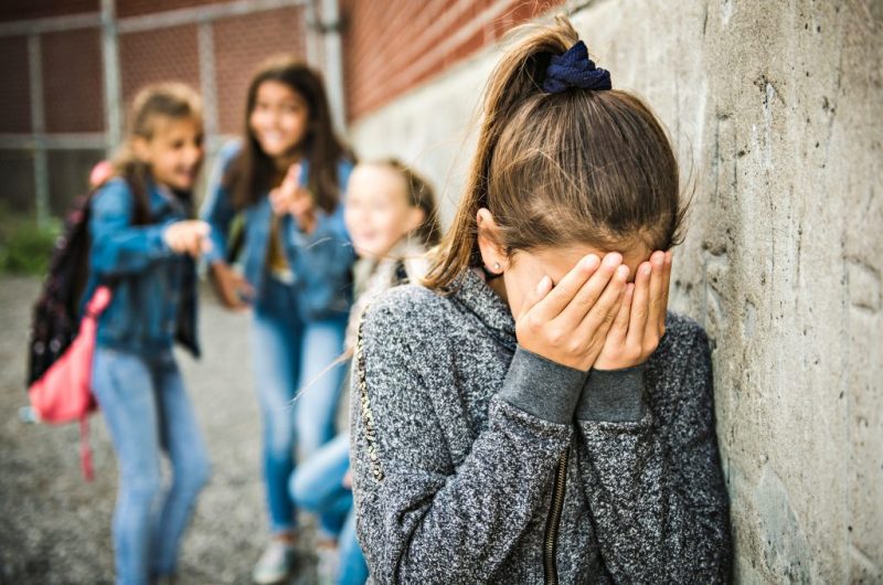 La Legislatura de Santa Fe estudia un proyecto sobre cómo actuar en casos de bullying en escuelas