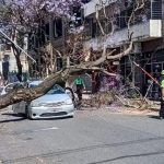 Tarde accidentada: un árbol cayó sobre un auto en el centro y otro vehículo se incendió en Pichincha