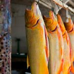 Impulsan en Rosario una feria itinerante de pescadores por los barrios