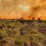 Alertan que hay fuertes riesgos de incendios en Córdoba por las altas temperaturas