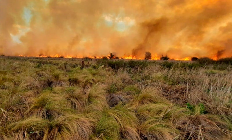 Alertan que hay fuertes riesgos de incendios en Córdoba por las altas temperaturas