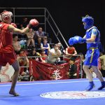 La ciudad del deporte: Rosario fue sede del Torneo Nacional de Wushu Kung Fu