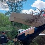 Se estrelló una avioneta narco en Salta que trasladaba 140 kilos de cocaína: hay dos detenidos