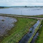 Campos bonaerenses bajo agua: productores exigen obras para drenar el agua