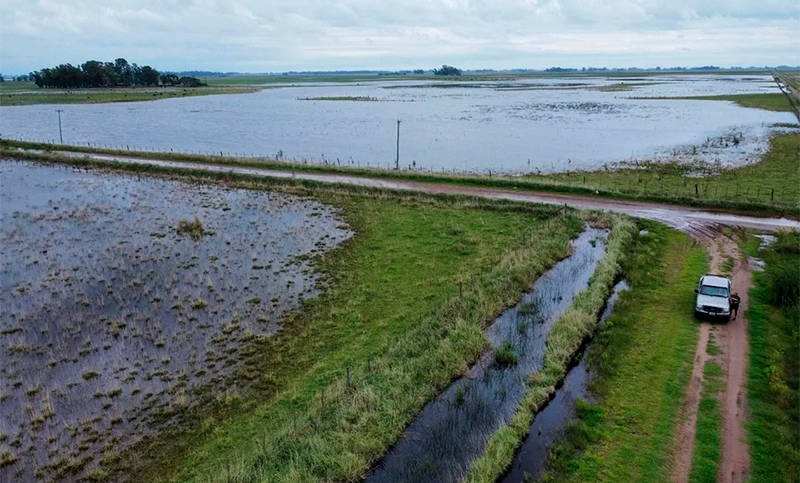 Campos bonaerenses bajo agua: productores exigen obras para drenar el agua