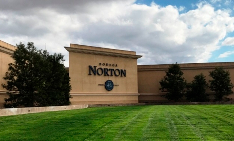La industria del vino sufre el desplome de ventas: la bodega Norton pidió el concurso de acreedores