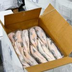La Provincia de Santa Fe suspende por un año el acopio de pescado para evitar un «colapso ecológico»
