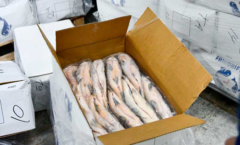 La Provincia de Santa Fe suspende por un año el acopio de pescado para evitar un «colapso ecológico»