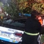 Vientos de más de 75 km/h y unos 13,3 milímetros de lluvia caída: ¿cómo fue el impacto de la tormenta en Rosario?