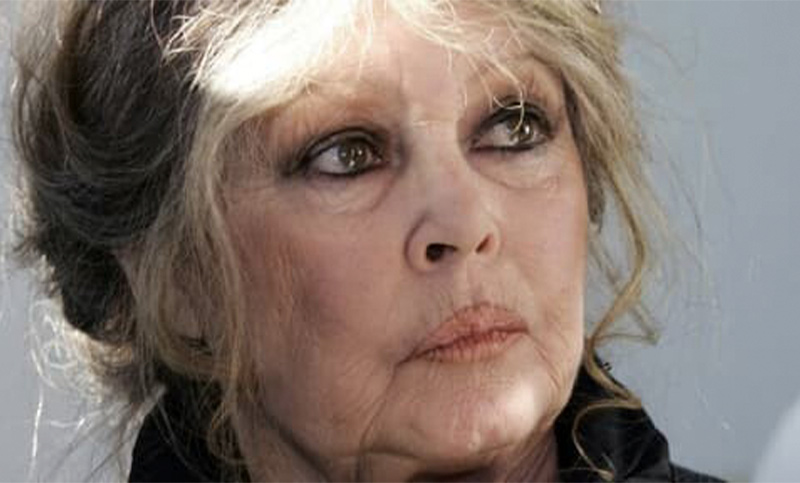 Murió Brigitte Bardot, un ícono femenino y activa animalista