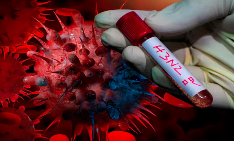 Alerta por la gripe H3N2: la OMS informó sobre el alcance de la influenza K a nivel global