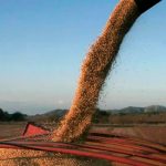 La liquidación del agro creció 25% en 2025 al totalizar más de US$31.300 millones