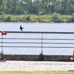 Altas temperaturas: claves para prevenir el golpe de calor