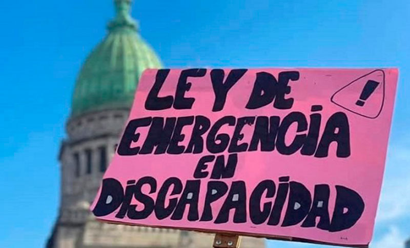 Se hizo Justicia: se ordenó la aplicación inmediata de la Ley de Emergencia en Discapacidad