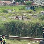 Un chico de 15 años fue asesinado a puñaladas en la ciudad de Santa Fe: su cuerpo fue encontrado en una fábrica abandonada