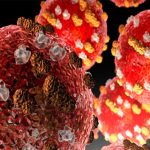 Alarma epidemiológica: se detectaron nuevos casos de dengue, coqueluche, sarampión y hantavirus en el país