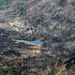 Ambientalistas documentan el grave daño ambiental de los incendios en Chubut