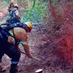 Ola de calor en Chubut agrava la crisis por los incendios forestales