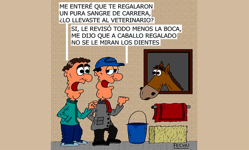 Caballo regalado
