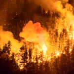Patagonia en llamas: denunciaron al Gobierno por desfinanciar el Servicio Nacional de Manejo del Fuego