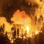 Patagonia en llamas: advierten que los incendios en Chubut están fuera de control