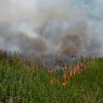 Incendio forestal fuera de control en Chubut: casas y vehículos destruidos y cientos de evacuados