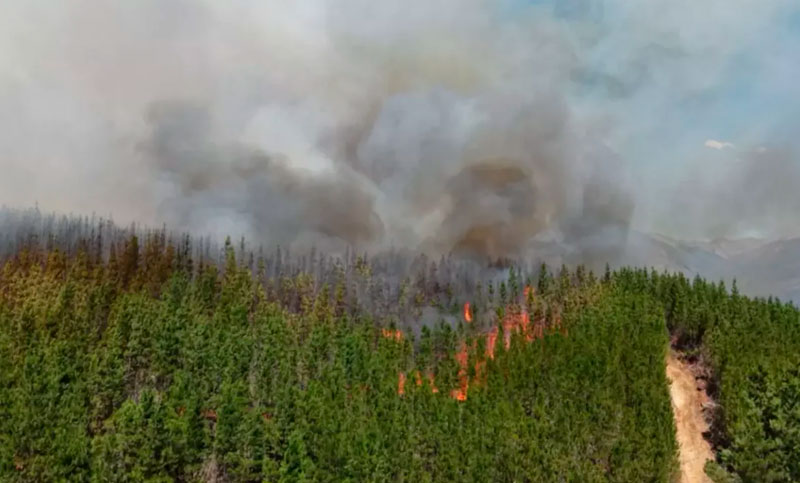 Incendio forestal fuera de control en Chubut: casas y vehículos destruidos y cientos de evacuados