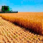 Campaña récord: estiman que la producción de granos generaría US$ 36.800 millones en exportaciones