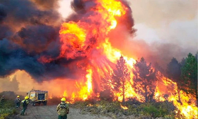 Más brigadistas, drones y visibilidad complicada: ¿cómo siguen los incendios en el sur del país?