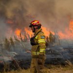 Alerta extrema: 16 provincias se encuentran en peligro de incendios forestales