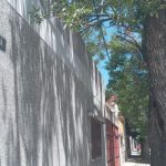 Rosario Sin Secretos: el mejor amigo y abogado de Belgrano, de celebración