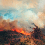 Los incendios en Chubut no cesan y ya consumieron más de 40.000 hectáreas
