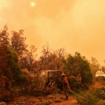 Incendios forestales en la Patagonia: el Gobierno amplió la emergencia ígnea a Santa Cruz