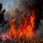 Respiro climático en Chubut favoreció la tarea de los brigadistas para combatir los incendios forestales