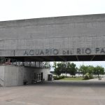 Con actividades gratuitas y el show de Mamita Peyote, el Acuario del Paraná celebrará su octavo aniversario